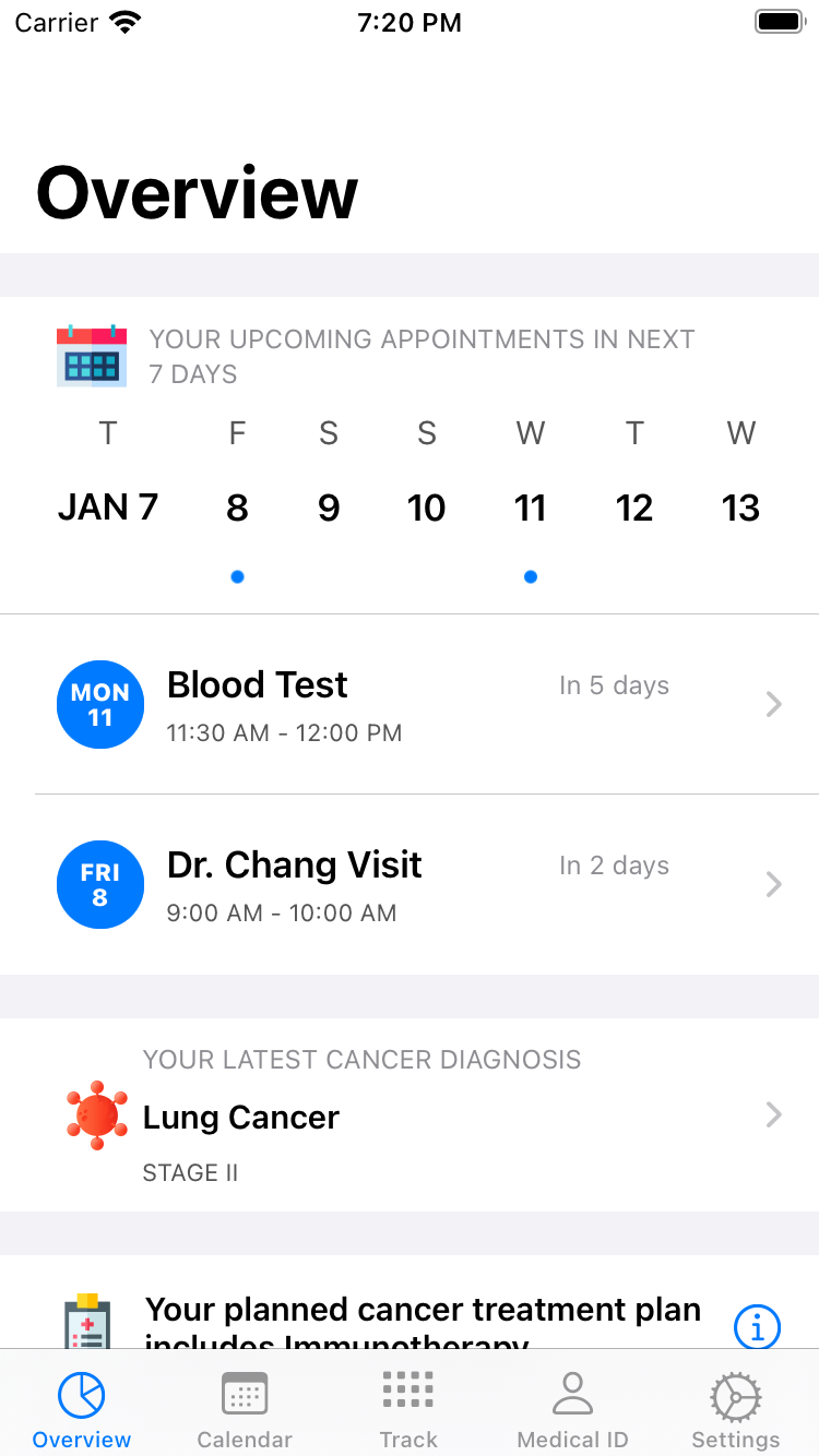 iOS Overview Calendar